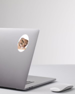 Chad Face Kedi - Görsel 6