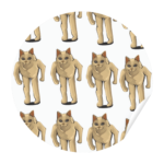 Ayakta Kedi