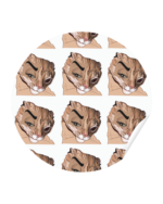 Chad Face Kedi