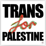 trans for palestine sticker